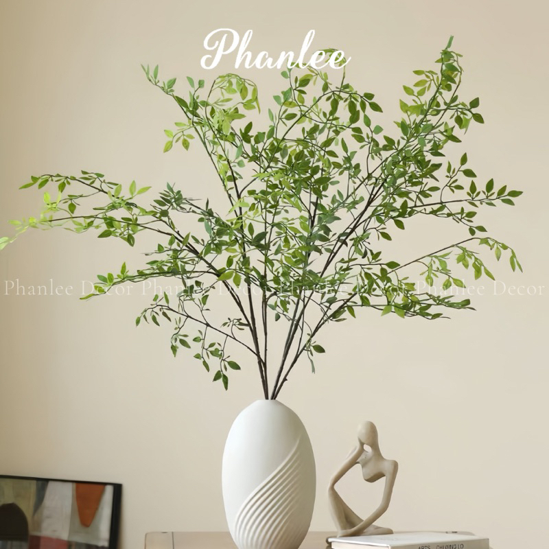 Cành Nam Thiên 1 Cành Phanlee
