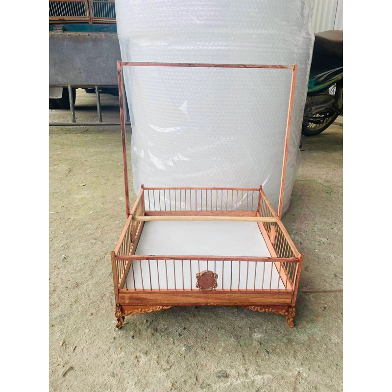 khung lồng trần chim chào mào, chích choè kèm xích chân size 36-37