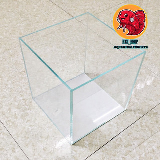 Bể cá mini kích thước 20-20-20 để bàn học,bàn làm việc, decol bàn uống nước.