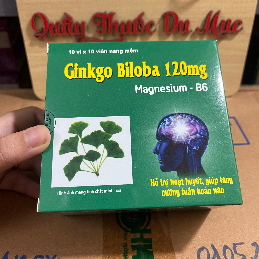 Ginkgo Biloba 120mg Magnesium B6 - Thanh Hằng