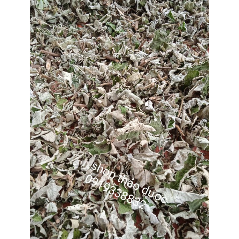 500g Mâm xôi khô làm dày niêm mạc