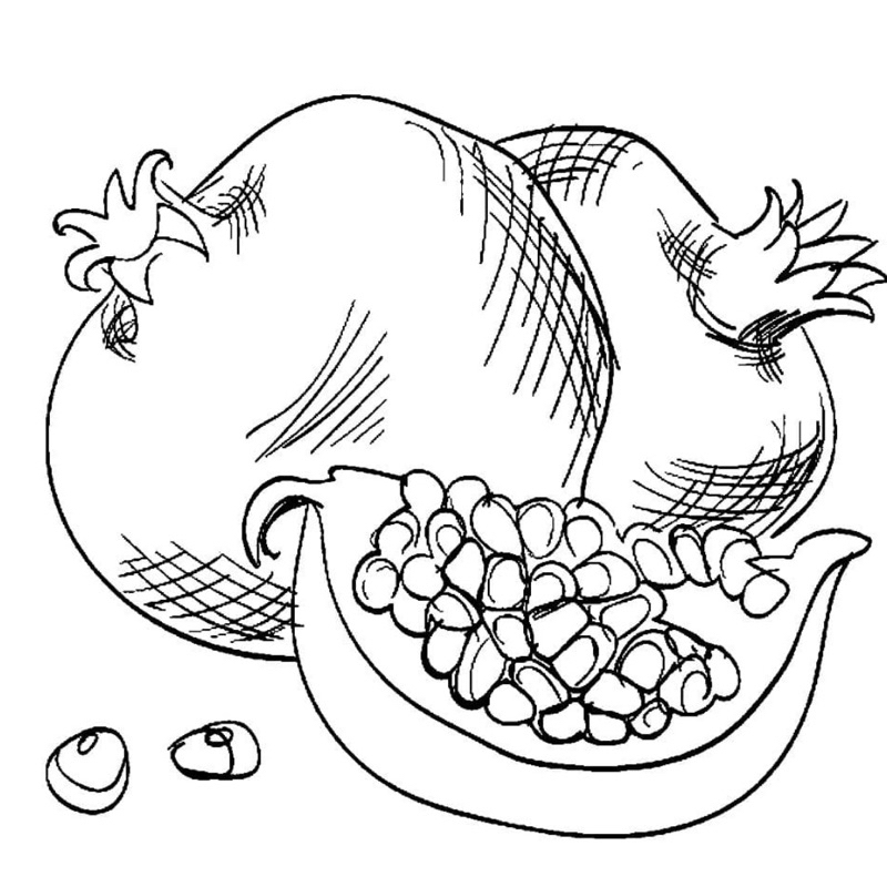 Tranh tĩnh vật Still Life - Set 20 Tờ Tranh Tô Màu A4 A5 Dành Cho Màu Sáp, Màu Chì - TRANH TÔ MÀU COLOR LAND