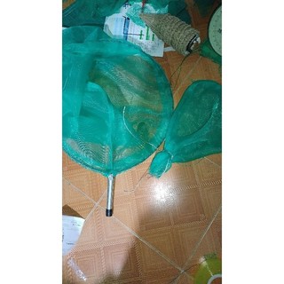 Vợt cào cào châu chấu loại cao cấp chuyên cào cào cốm, tặng túi đựng cào cào