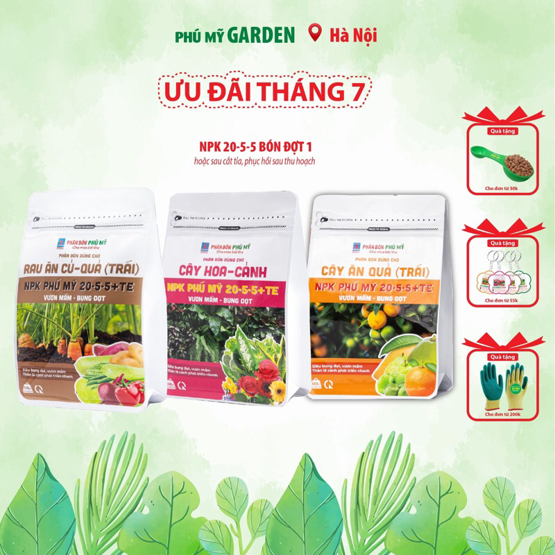 NPK Phú Mỹ 20-5-5 bón đợt 1 cho cây vươn mầm, bung đọt