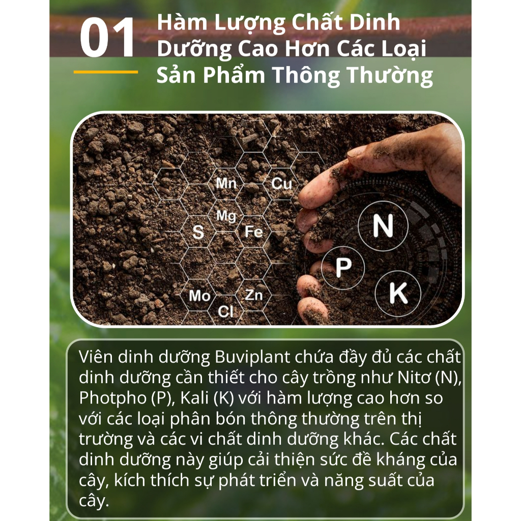 Hộp 200 viên phân bón tan chậm BUVIPLANT Siêu dinh dưỡng cho cây