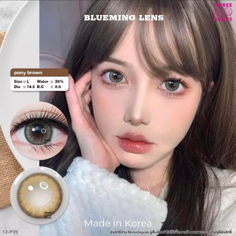 Lens mắt Pony/ Pola Brown kính áp tròng nâu tây size L giãn to 14.5mm (0 - 6.5 độ)