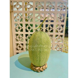Đế lót dưa lưới
