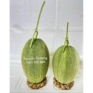 ĐẾ LÓT DƯA LƯỚI (giá 1 đế)