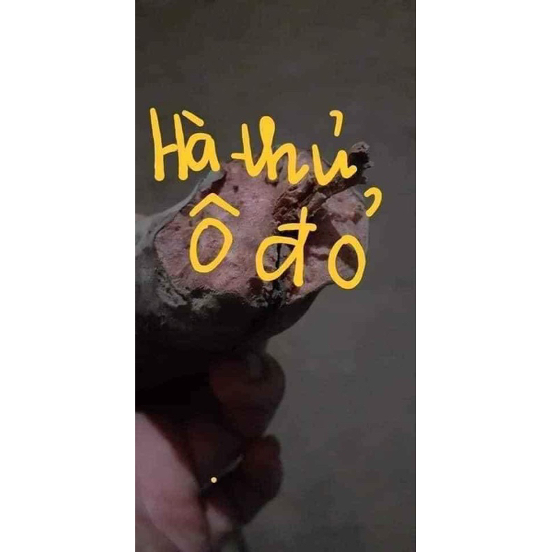 1 Kg Hà thủ ô thái lát chế đỗ đen xịn nhất