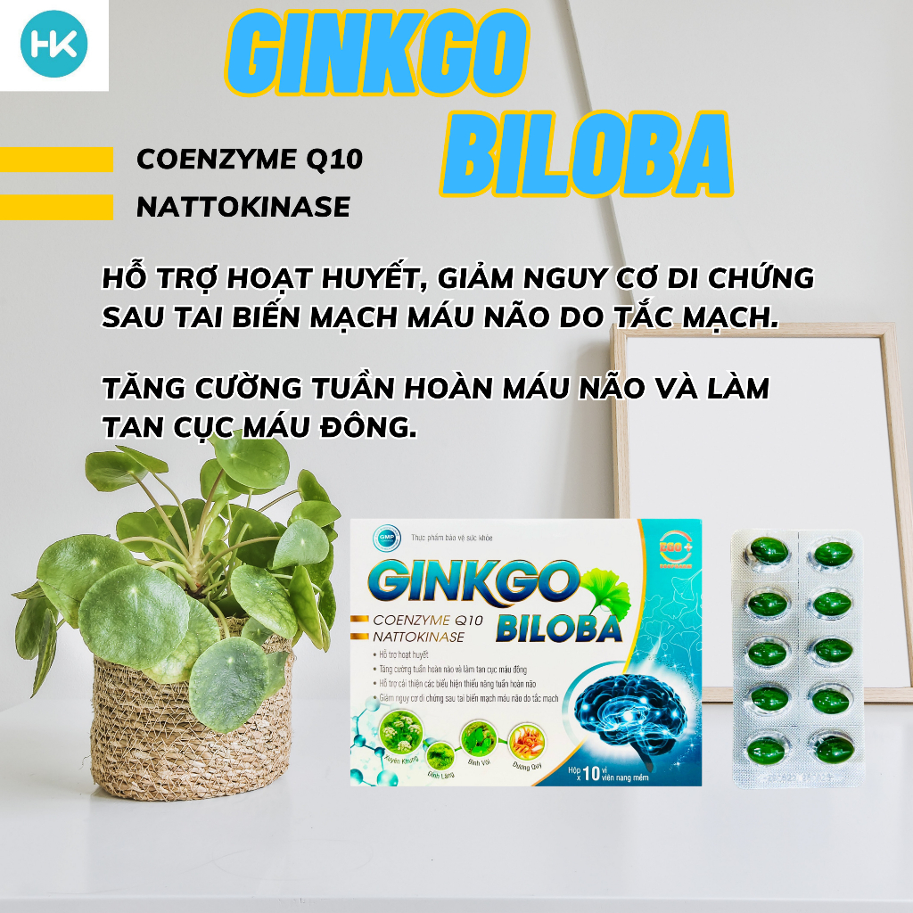 Ginko Biloba hoạt huyết dưỡng não