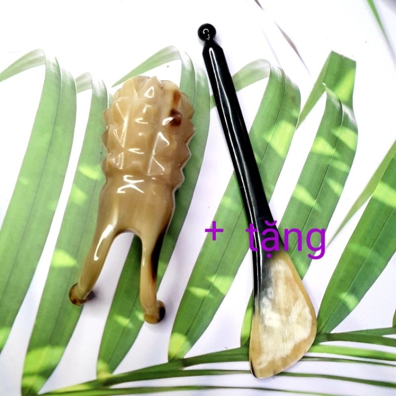 Ốc sên thân dứa