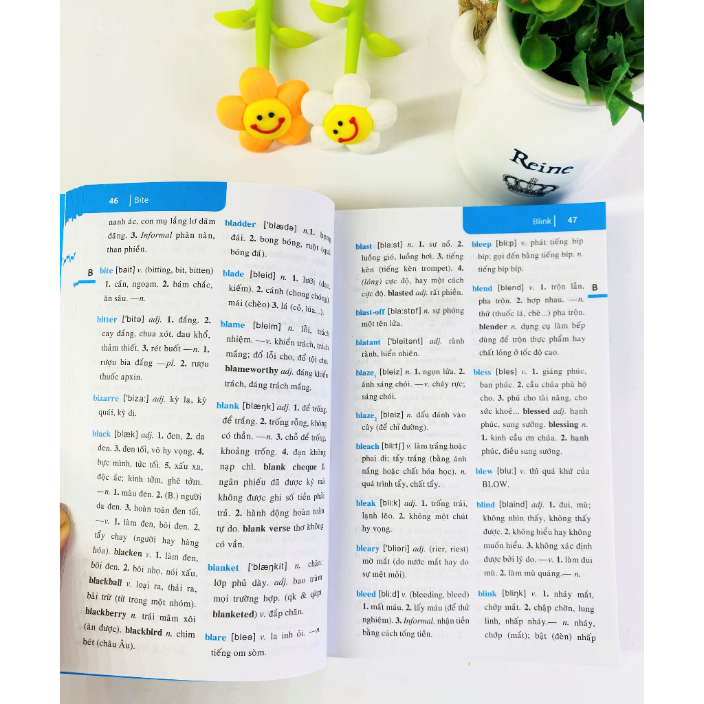 Sách - Từ điển Anh Việt  - ndbooks