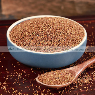 [Giá sỉ] 2kg Thỏ Ty Tử (Hàng chuẩn, khô, sạch)