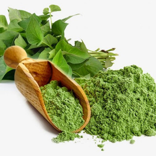 Bột Diếp Cá Nguyên Chất 200g
