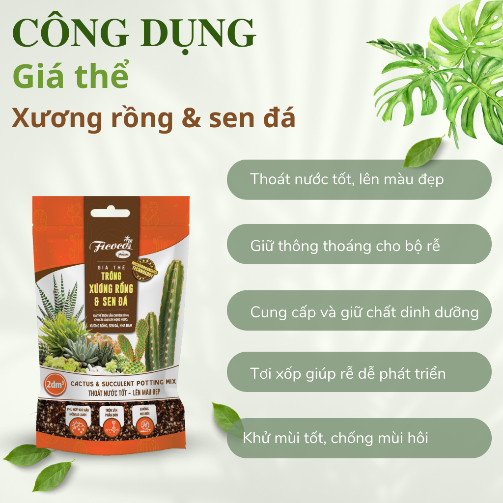 Giá thể trồng sen đá, xương rồng cao cấp, đầy đủ dinh dưỡng, siêu thoát nước, túi 2 lít.