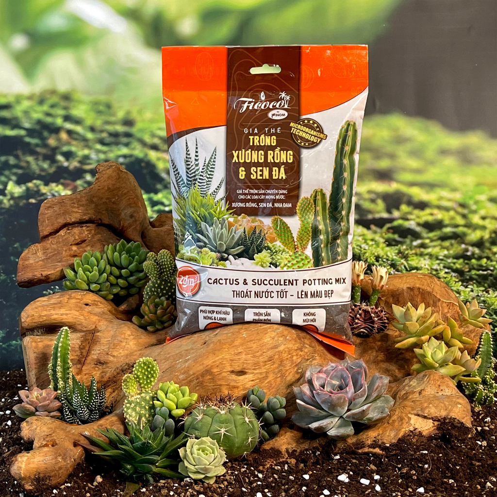 Giá thể trồng sen đá, xương rồng cao cấp, đầy đủ dinh dưỡng, siêu thoát nước, túi 2 lít.