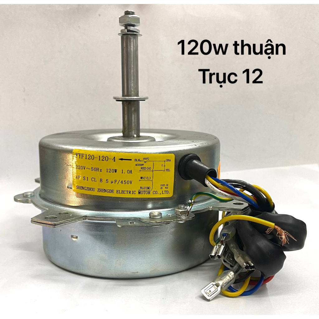 Mô Tơ Quạt Hơi Nước (120W Thuận - Trục 12 )