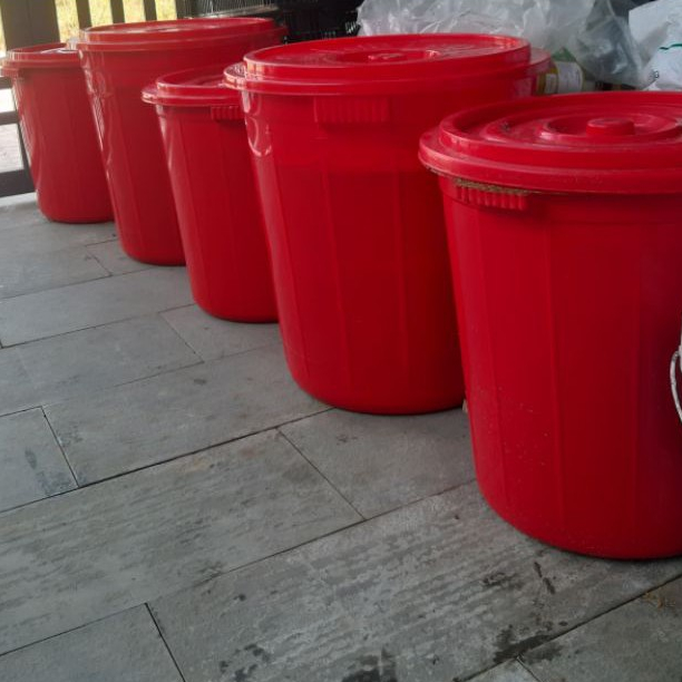 1L dịch chuối trứng sữa ủ vi sinh, chuyên dùng cho cây ăn quả