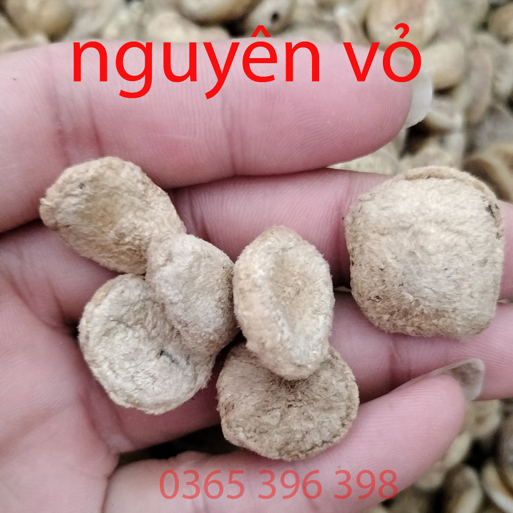 Hạt sang trắng tây bắc tốt cho dạ dày đại tràng, hạt  cạo vỏ