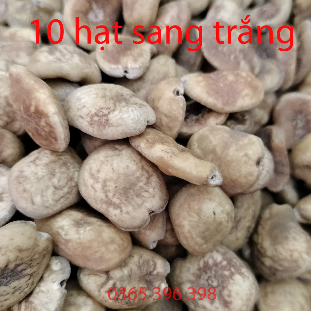 Hạt sang trắng tây bắc tốt cho dạ dày đại tràng, hạt  cạo vỏ