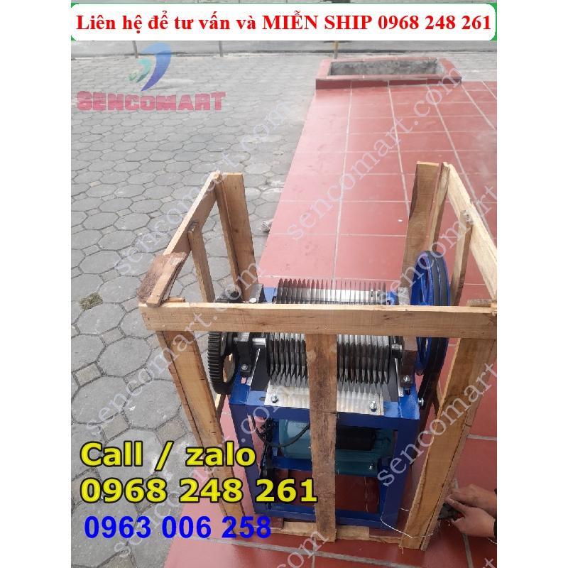 Máy thái cá mồi, Máy cắt cá biển làm thức ăn hải sản