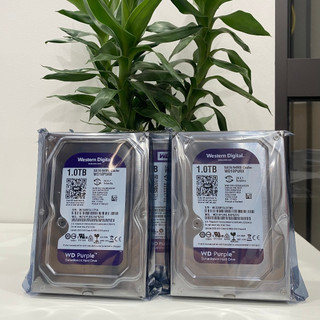 Ổ cứng 1TB Western Digital hàng nhập khẩu bảo hành 24 tháng
