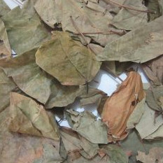 Lá Vông Nem Sấy Khô 1kg