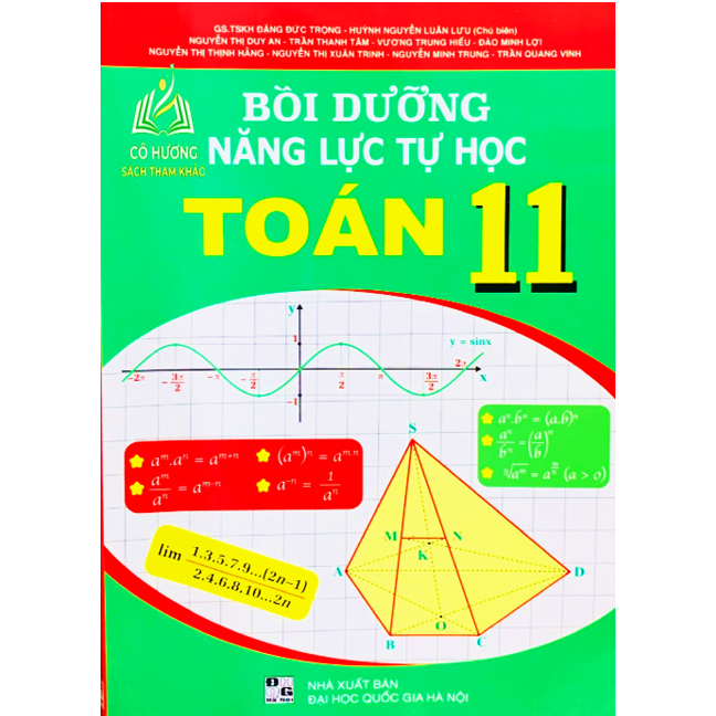Sách - Bồi dưỡng năng lực tự học Toán 11