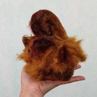 Cẩu tích( lông cu li khô )