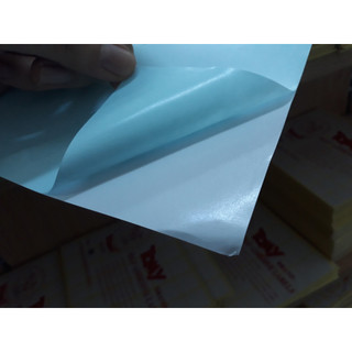 Decan đế xanh A4 - Decal đế xanh A4, giá có VAT