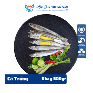 Cá trứng nhập khẩu nauy - 60% con có trứng - - khay 500gr