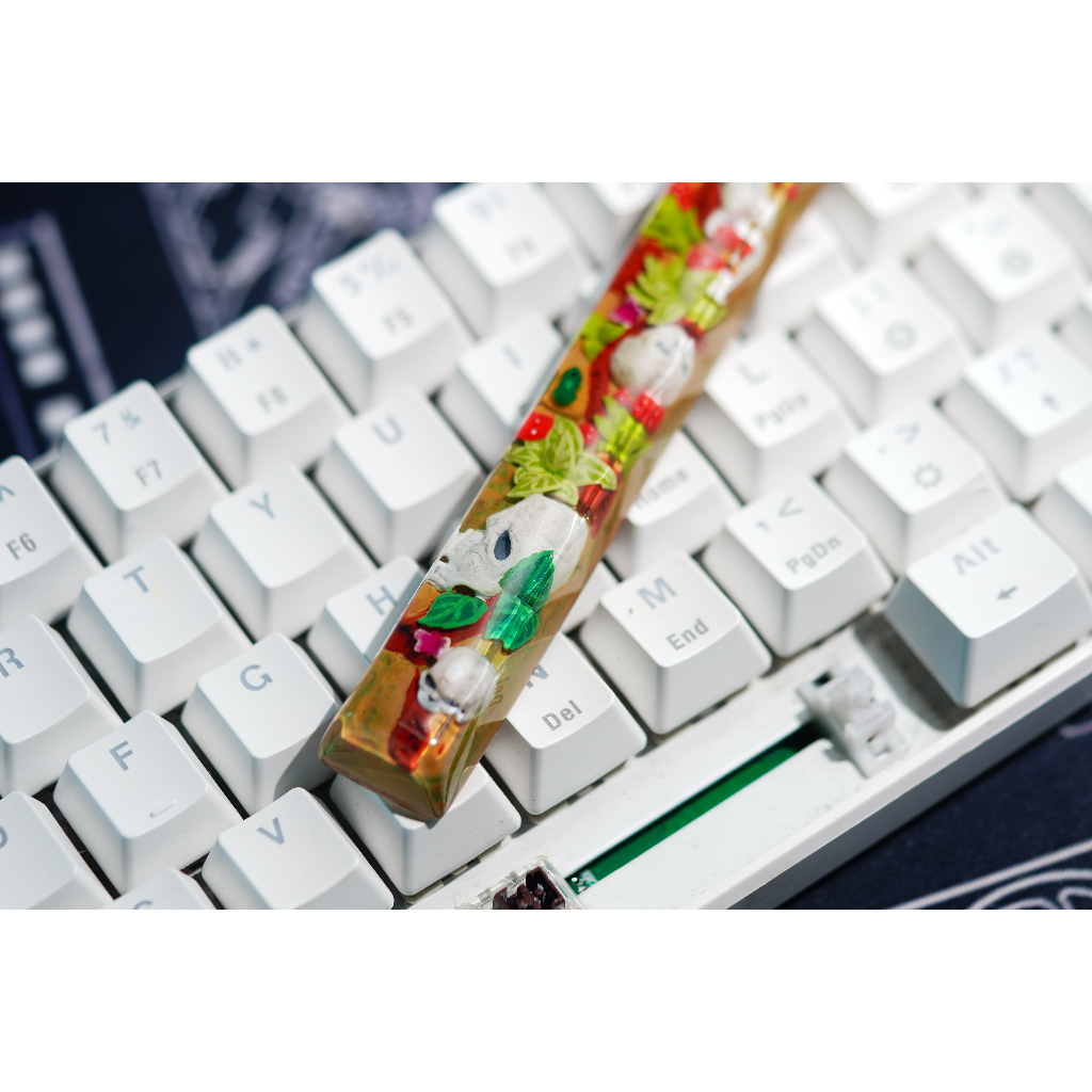 6.25U nút bàn phím cơ đầu lâu - nút bàn phím cơ đẹp - artisan keycap spacebar