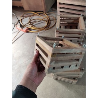 chậu gỗ trồng lan hình vuông 13x13cm