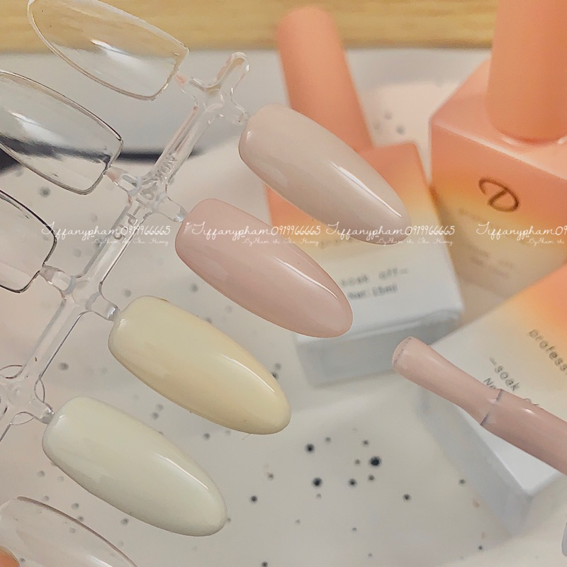 Sét sơn 24 màu tông hàn