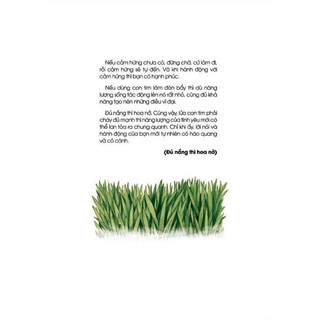 Sách - Đủ nắng thì hoa nở