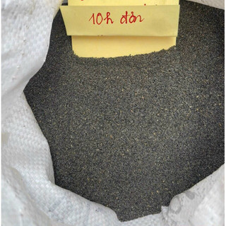 500 Hạt giống hoa 10 giờ Đơn