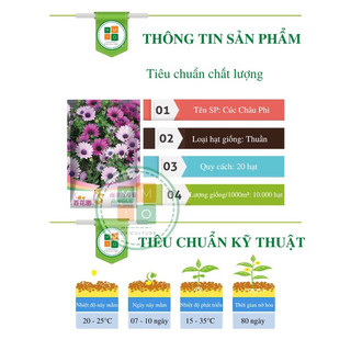 Hạt giống hoa cúc châu phi