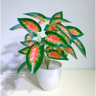 Bụi môn đốm, cây môn đốm giả trang trí nhà cửa, tường, chậu cây, 30cm, 5 nhánh lá - vng-0043