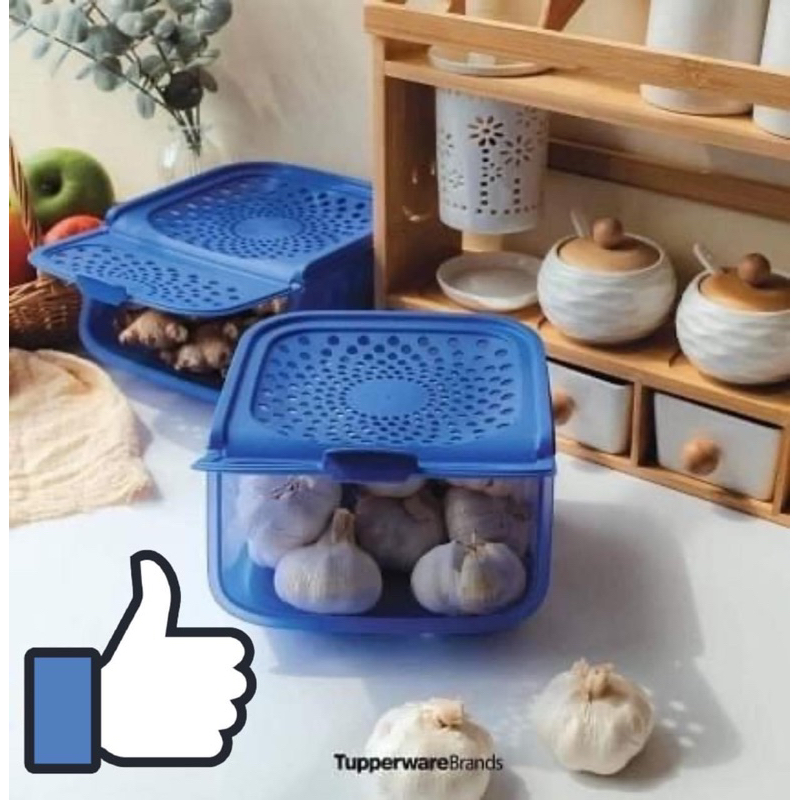 RỔ ĐỰNG HÀNH TỎI KHÔ TUPPERWARE