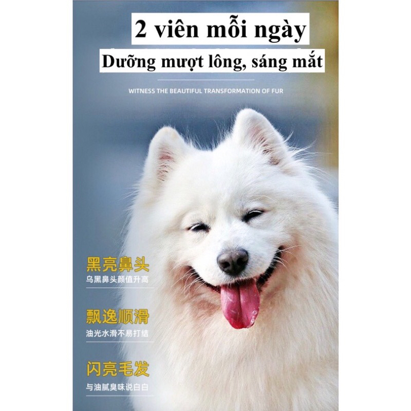 Viên dầu cá PET FISH OIL cho chó mèo giảm rụng lông