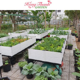 Chậu ghép 100x100x23cm Chậu ghép thông minh sang trọng tiện dụng độ bền cao trồng mọi loại cây Hồng Thanh Garden