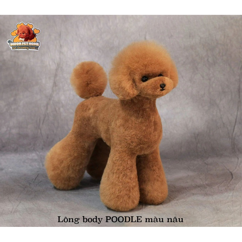 Lông chó giả poodle Mr Jiang