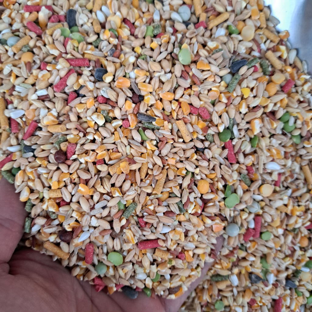 Ngũ cốc gà đá gà nòi, thức ăn gà nòi gà che túi loại 1kg giúp tăng cơ tăng bo nha cho gà