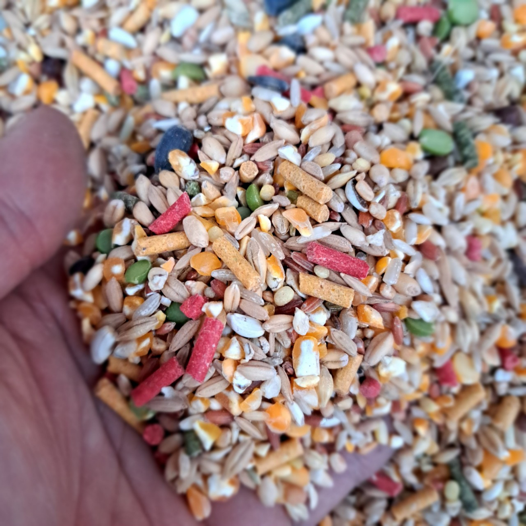 Ngũ cốc gà đá gà nòi, thức ăn gà nòi gà che túi loại 1kg giúp tăng cơ tăng bo nha cho gà