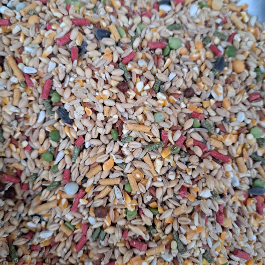 Ngũ cốc gà đá gà nòi, thức ăn gà nòi gà che túi loại 1kg giúp tăng cơ tăng bo nha cho gà