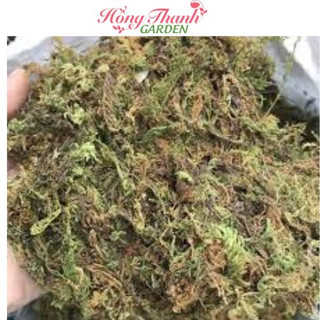 Rêu rừng trồng lan Hồng Thanh Garden 50g, 100g