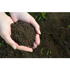 2kg Phân trùn quế cao cấp dùng cho rau sạch, cây trồng, cải tạo đất tốt
