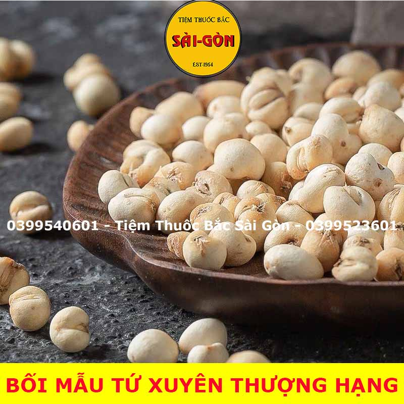 Xuyên Bối Mẫu 100g - Bối Mẫu Tứ Xuyên (Hàng cao cấp, thơm, nhiều dược chất)