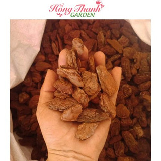 VỎ THÔNG TRỒNG LAN Hồng Thanh Garden (NHIẾU SIZE) VỤN ĐÃ XỬ LÝ 1 KG