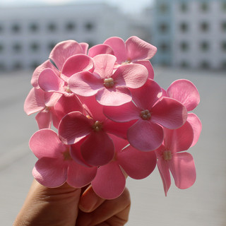 1 hộp hoa sáp tú cầu